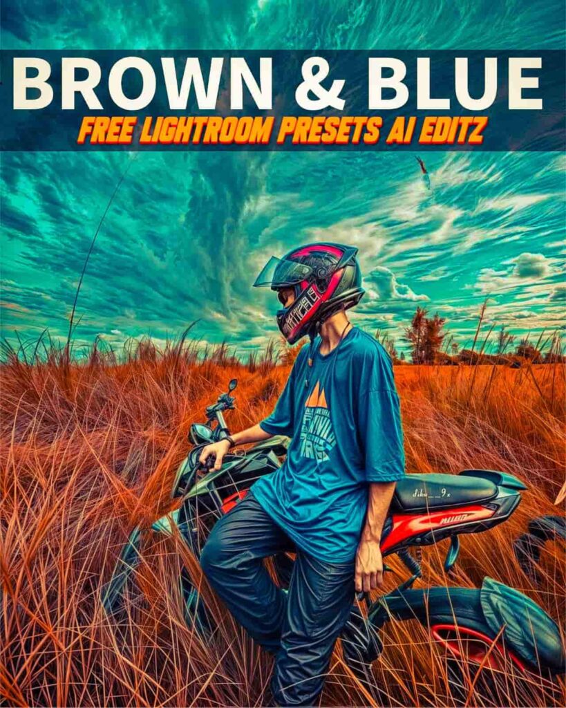 Brown and Blue Lightroom Presets