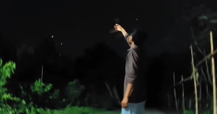 Flying Fairy AI Video Editing Prompt