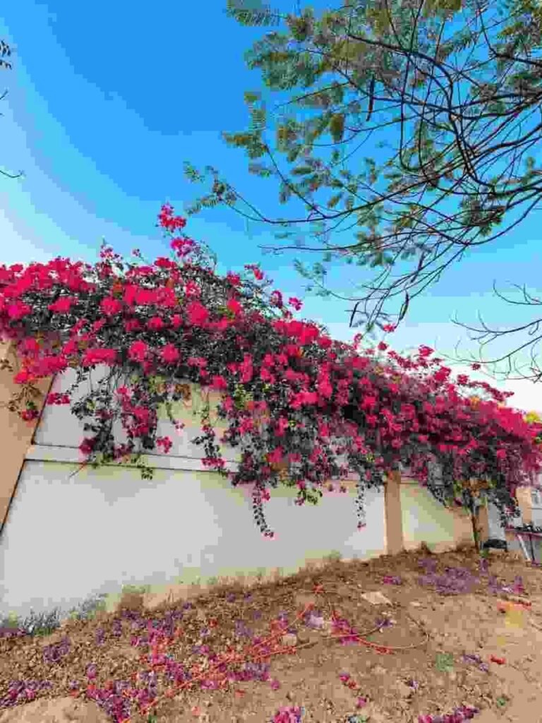 Instagram AI background change prompt