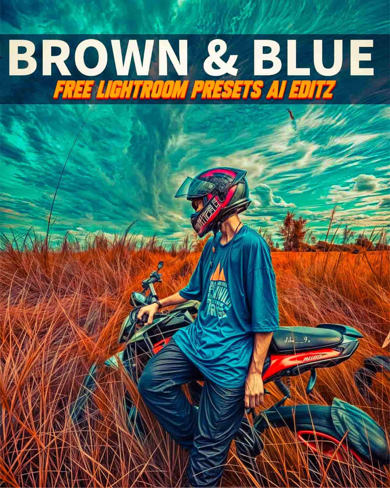 Brown and Blue Lightroom Presets